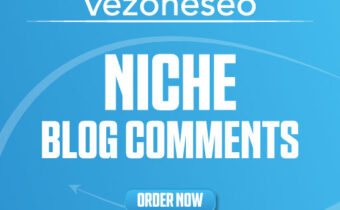 Niche Blog Comments
